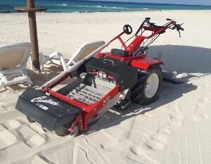 Cavalluccio (petrol engine)