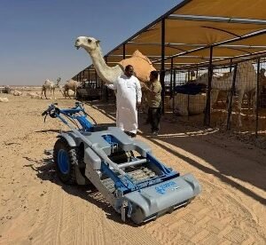 Scorpion (petrol engine)